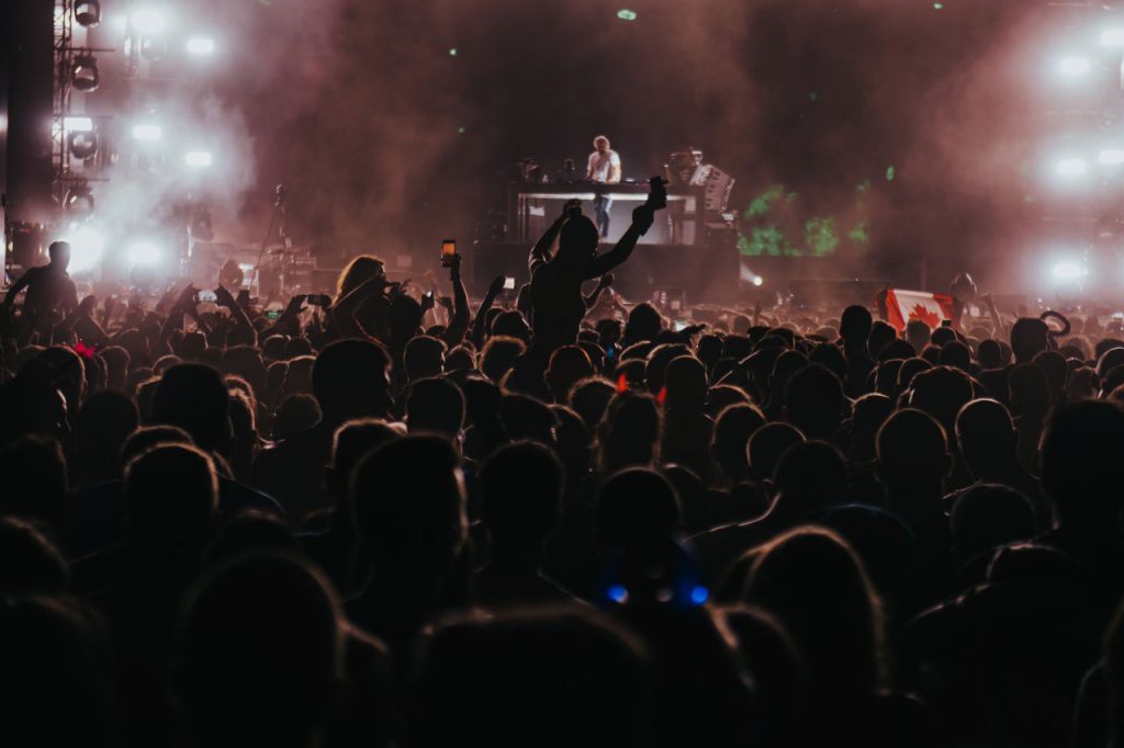 Concert Crowd Enjoying Dj Performance